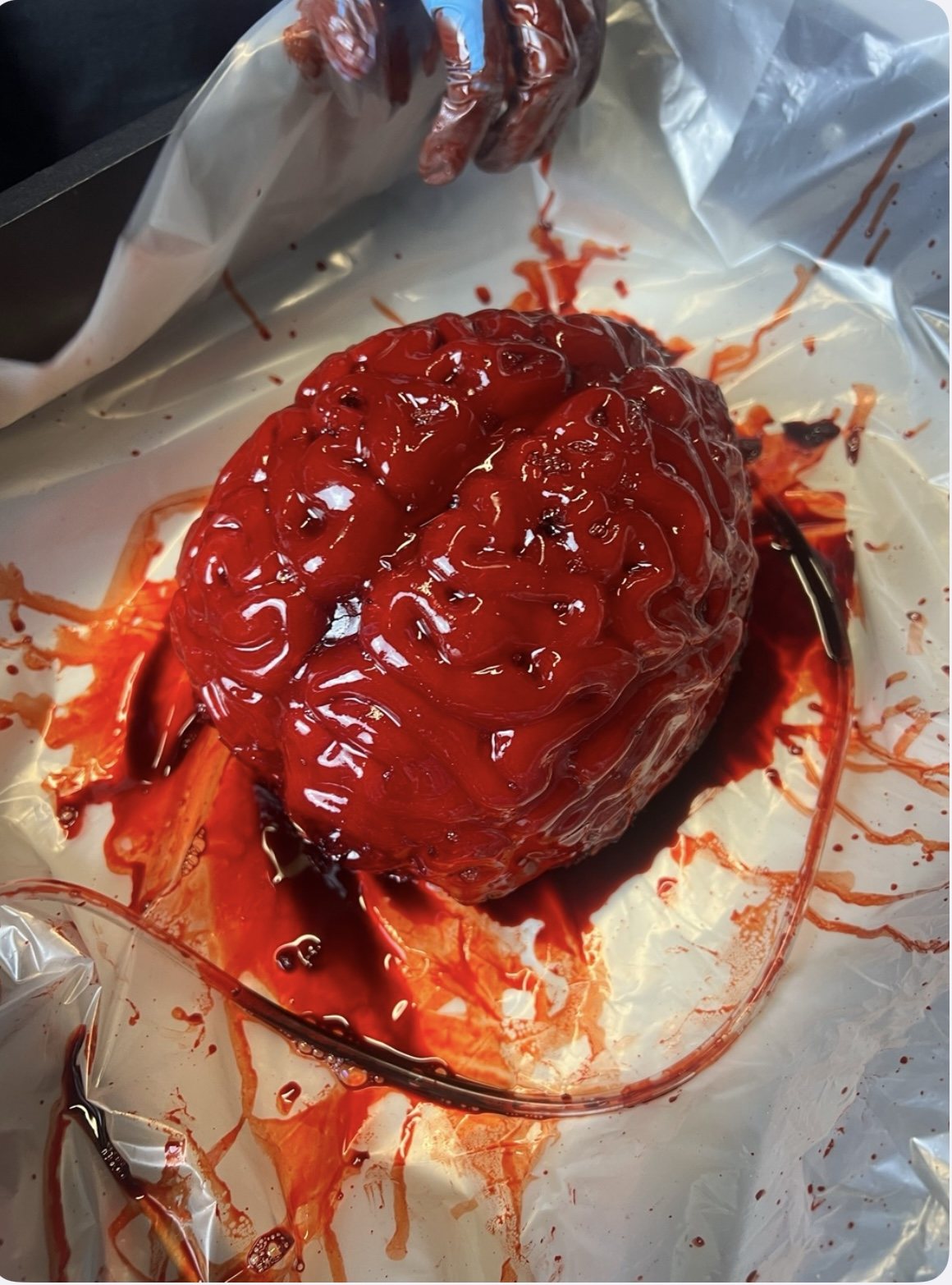 Brain built from gelatine, sponge and foam