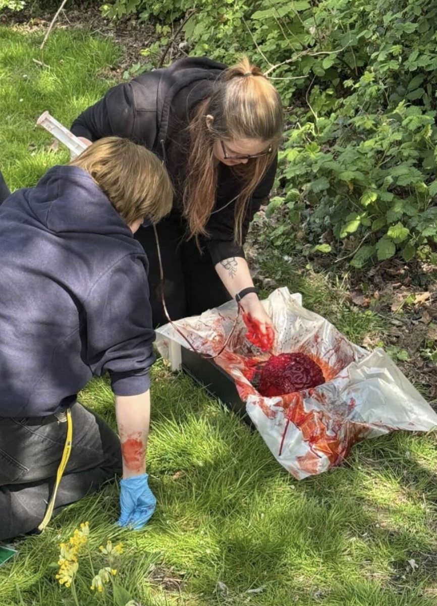 Amy rigging a blood pump to a gelatine brain on a student film set